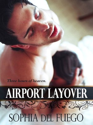 cover image of Airport Layover